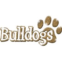 GLT17 GOLD GLITTER Thumbnail