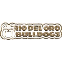 GLT99 GOLD GLITTER Thumbnail